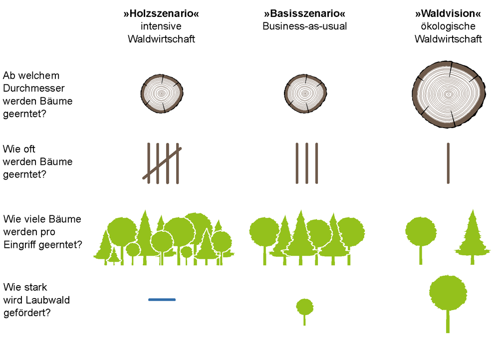 Abbildung 10: Ökologischer Waldbau – schonende Nutzung für mehr Klasse als Masse